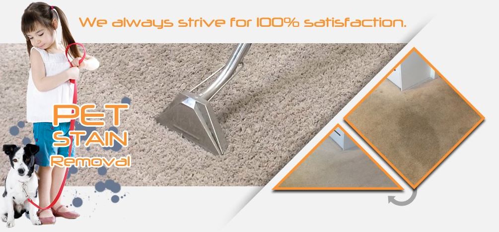 Irving Carpet Cleaning Image